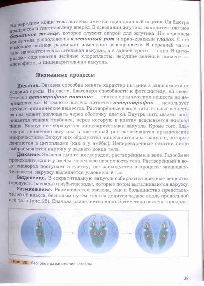 Учебник Биология 7 класс Константинов Бабенко читать онлайн